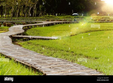 Curve Bamboo Bridge Curved Wooden Bridge At Park In Paddy Field Stock
