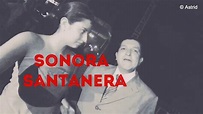 Sonora Santanera Sandro Celada/Entrevista - YouTube