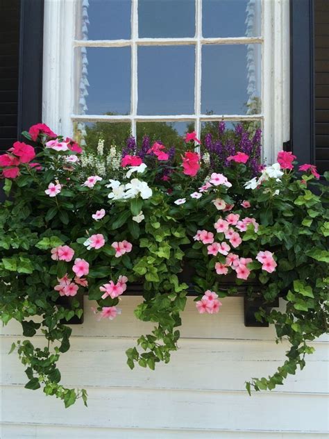 Windowbox Beautiful ♥️ Container Gardening Flowers Garden Containers