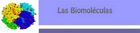 Las Biomoléculas 2º Bachillerato Cosas De Ciencias Isabel Etayo