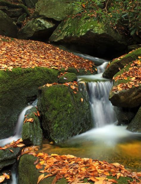 Free Images Tree Nature Forest Rock Waterfall River Pond