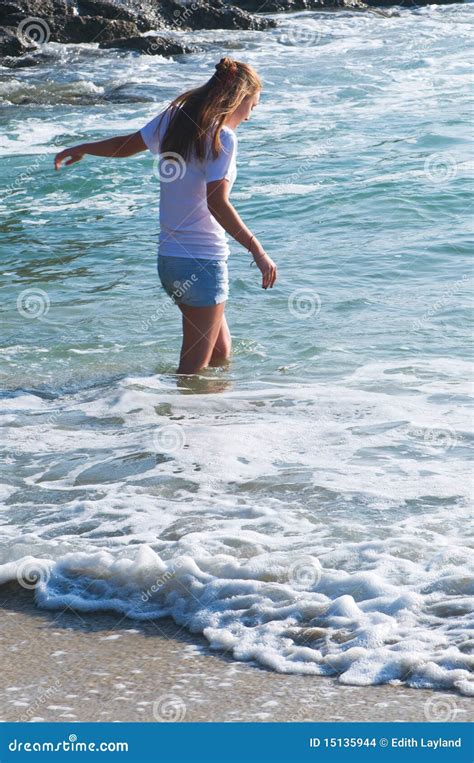 Wading In The Water Stock Images Image 15135944