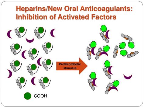 New New Oral Anticoagulants 2014