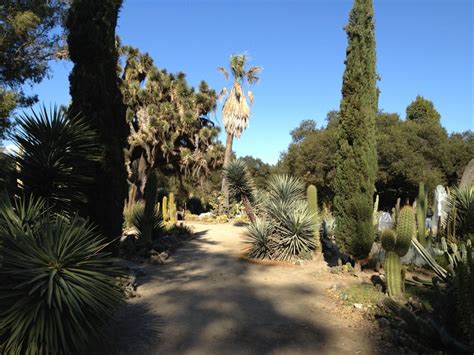 Arizona Cactus Garden At Stanford Yelp