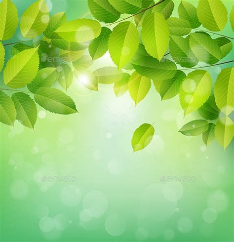 Spring Nature Banner With Green Leaves By Artness Graphicriver