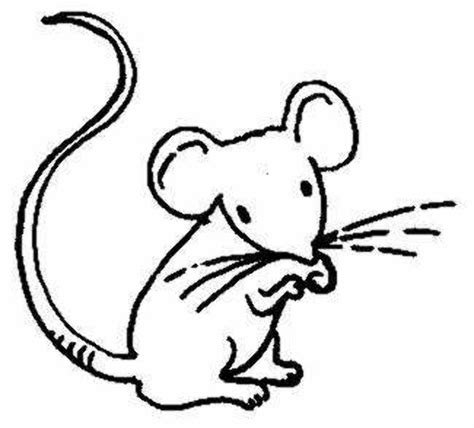 Download High Quality Mouse Clipart Outline Transparent Png Images