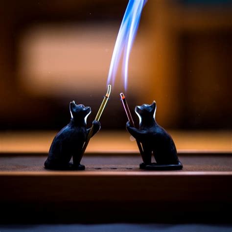 Coppertist Brass Cat Incense Burner The Coolector