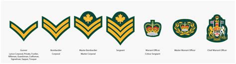 Canadian Army Cadet Ranks Hd Png Download Kindpng