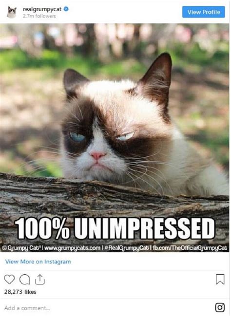 Grumpy Cat Is Gone But Her Memes Will Live On