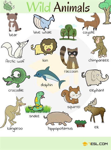 Animal Names Types Of Animals With List And Pictures Animals Name In