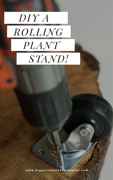 Make This Diy Wood Rolling Plant Stand In Just A Few Minutes