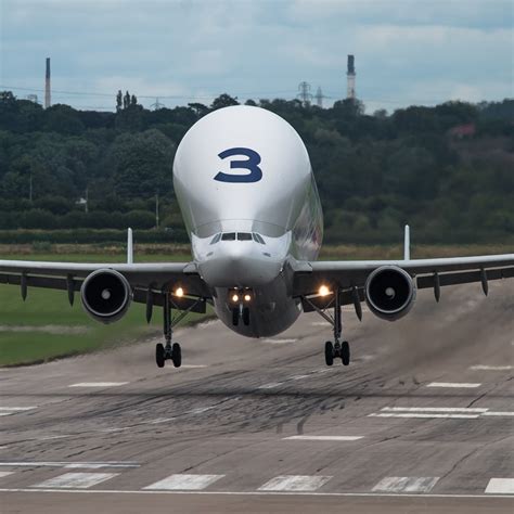 Airbus A300 600st Beluga Forum Avatar Profile Photo Id