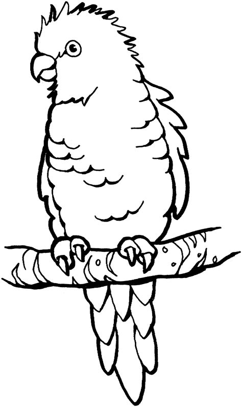 Parrot Printable Coloring Page