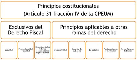 Cuáles Son Los Principios Constitucionales Del Derecho Penal Hot Sex Picture