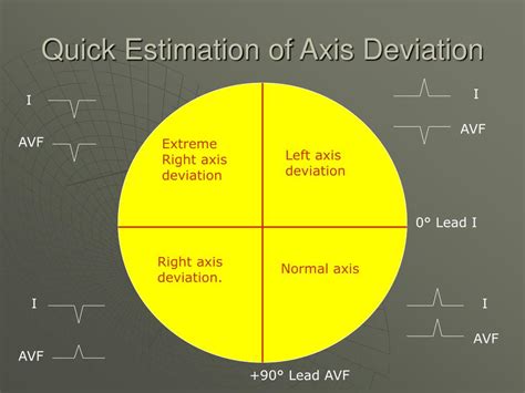 Ppt The Physiological Basis Of The Ekg Powerpoint Presentation Free