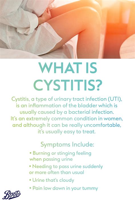 What Is Cystitis Cystitis Urinary Tract Health Advice