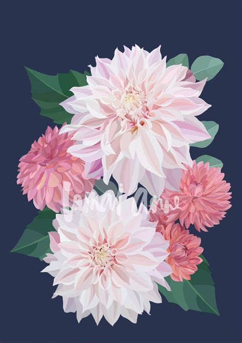 Dahlias By Artist Lamai Anne Part Of The Petals And Grace Collection