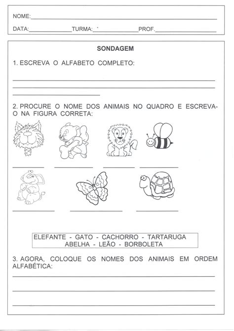 Sondagem Língua Portuguesa Alfabeto Leitura · Alfabetização Blog
