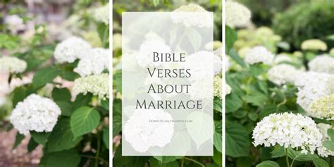 Bible Verses About Marriage Domestically Blissful