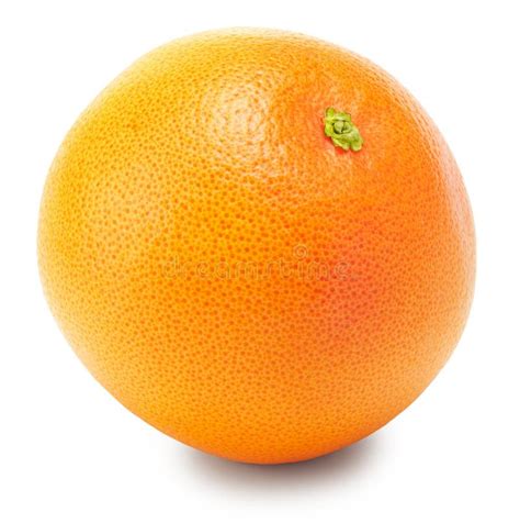 Single Orange Fruit Isolated On White Background Stock Image Image Of