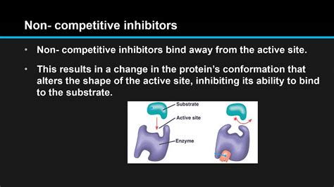 B76 Compare Competitive Inhibition And Non Competitive Inhibition