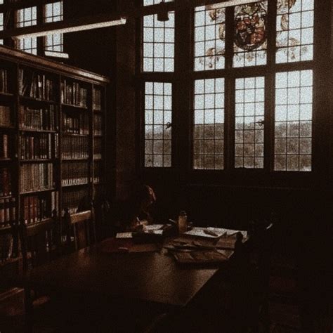 Dark Academia Slytherin Room Cette magnifique bibliothèque appartient