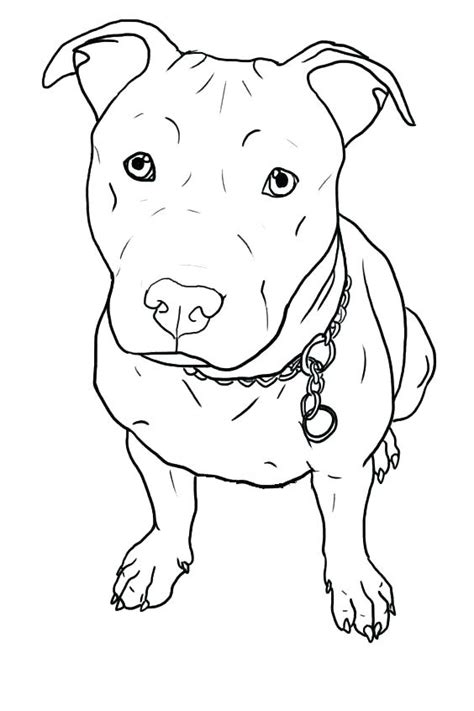 Pitbull Dog Coloring Pages At Free Printable