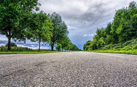 Hd Wallpaper Worms Eye View Of Road In Between Trees Under Cloudy Sky