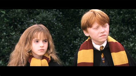My Magical Journey Ron And Hermione