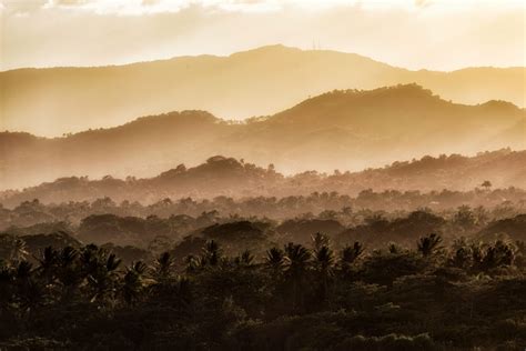 Tropical Mountain Forest Royalty Free Stock Photo