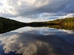 Cockaponset State Forest is breathtaking in the fall. : r/Connecticut