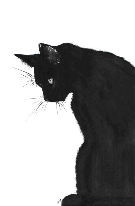 Black Cat By Midniterain On Deviantart