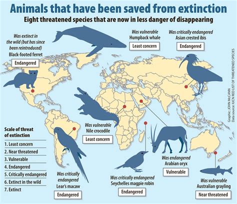 Climate Change Claims Its First Mammal Extinction The Mail And Guardian