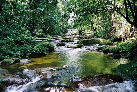 Sungai kita hidup kita, haragu sungai. LAMAN ILMU CIKGU ETA: Cintailah Alam Sekitar