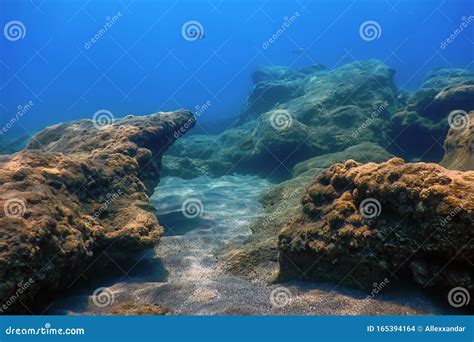 Sea Life Underwater Rocks Sunlight Underwater Life Stock Photo Image