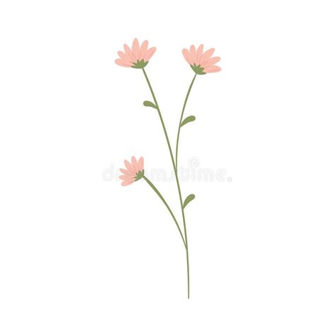 Flowers And Stem Stock Vector Illustration Of Stem 255462867