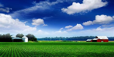 21 View Agriculture Background Hd Images Cool Background Collection