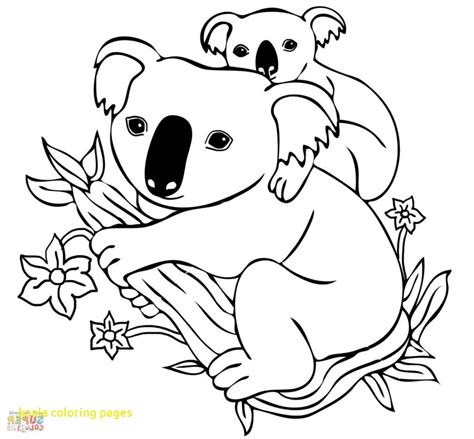 Cute Koala Drawing At Getdrawings Free Download