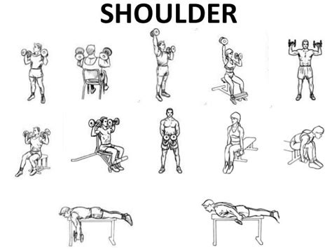 Shoulder Workout At Home Dumbbells Eoua Blog