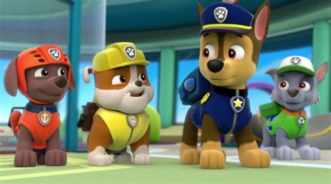 Paw Patrol Marshall And Chase On The Case Dvd Review On Popzara