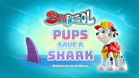 Sea Patrol Pups Save A Shark Paw Patrol Wiki Fandom