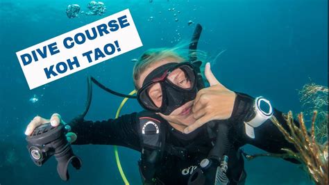 Koh Tao Diving PADI Open Water Diver Course YouTube