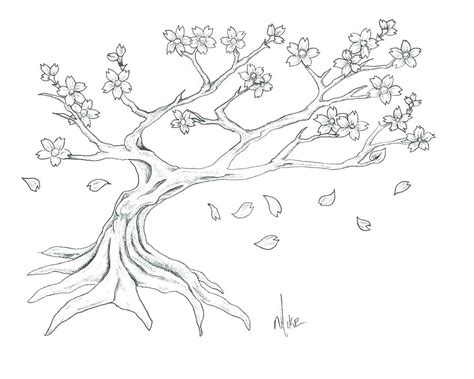 Sakura Tree Drawing Easy