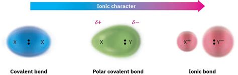 22 Polar Covalent Bonds Electronegativity Chemistry Libretexts