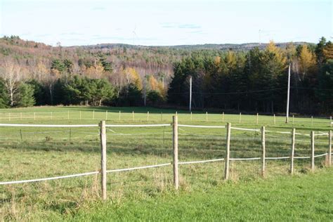 Fenced yards may help your dog ward off criminals. How To Make A Horse Paddock Quickly | Horse paddock, Diy ...