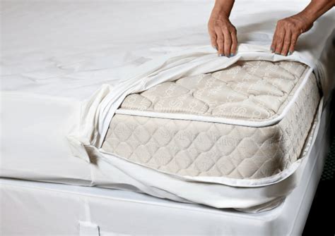 Bed Bug Mattress Covers What You Need To Know Stacyknows