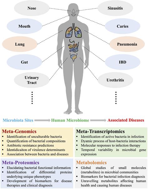 Frontiers Metaomics In Clinical Laboratory Potential Driving Force