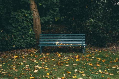 500 Bench Pictures Hd Download Free Images On Unsplash