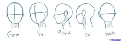 The Steps To Draw Different Types Of Head Shapes