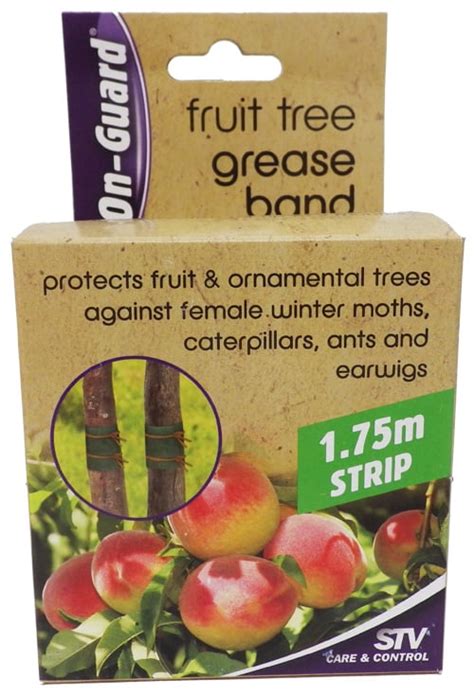 We don't know when or if this item will be back in stock. Fruit Trees - Home Gardening Apple, Cherry, Pear, Plum ...